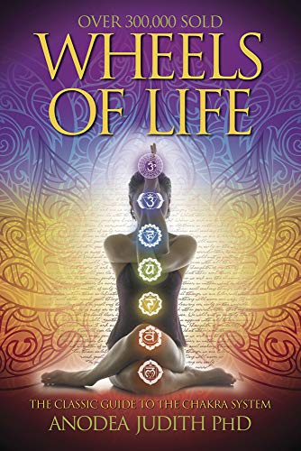   Libro de chakras de la rueda de la vida